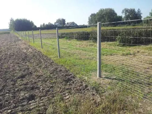 słupek do siatki leśnej wykonane przez firme jar-bet ogrodzenia betonowe w zbożu koło sępólna krajeńskiego